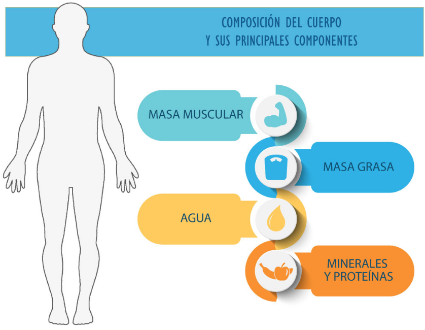 Bioimpedance